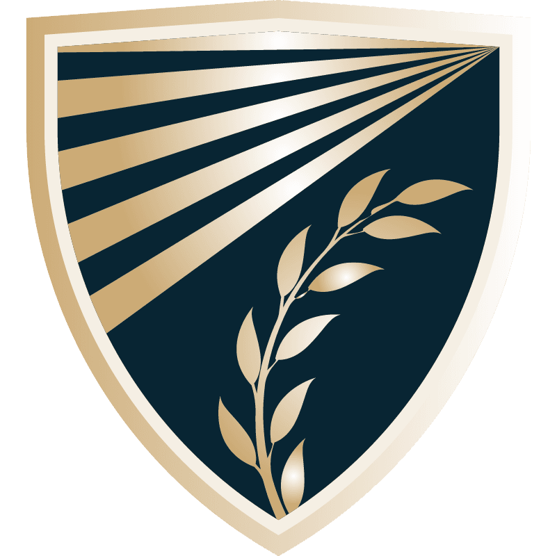 Escudo com Raios e Ramo de Oliveira